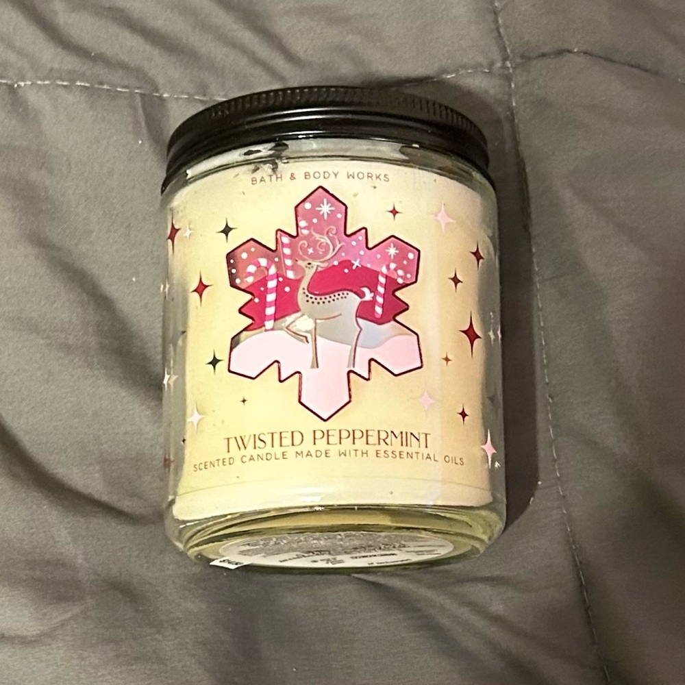Bath and Body Works Single Wick Candle